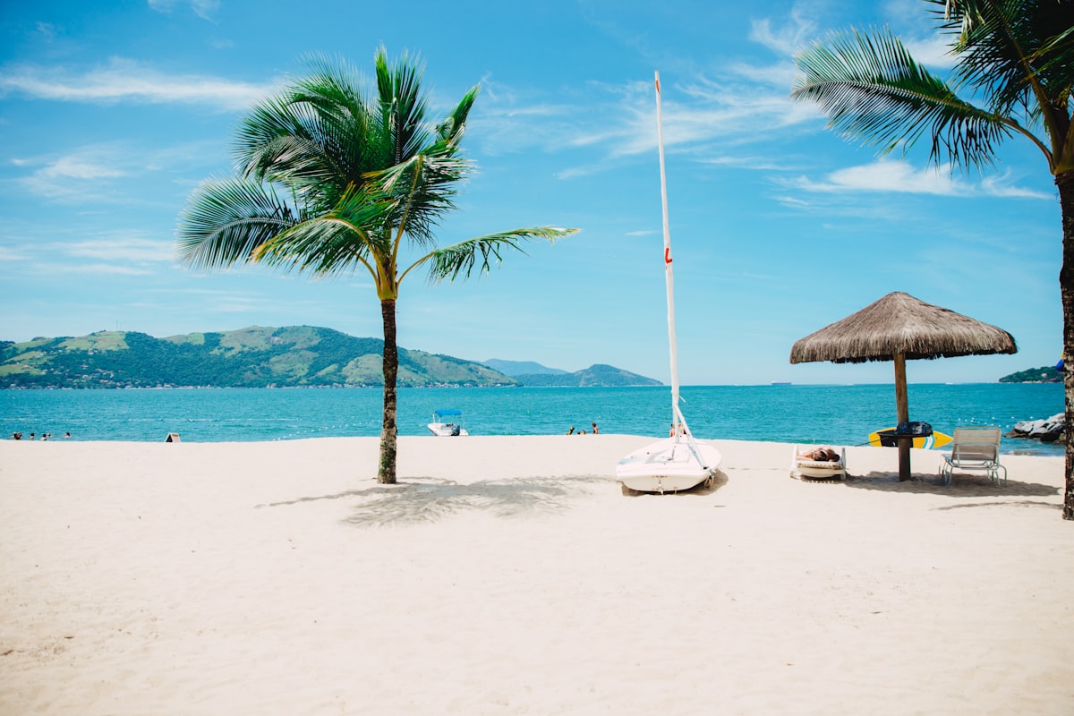 White sand beach with palm trees and a thatched umbrella